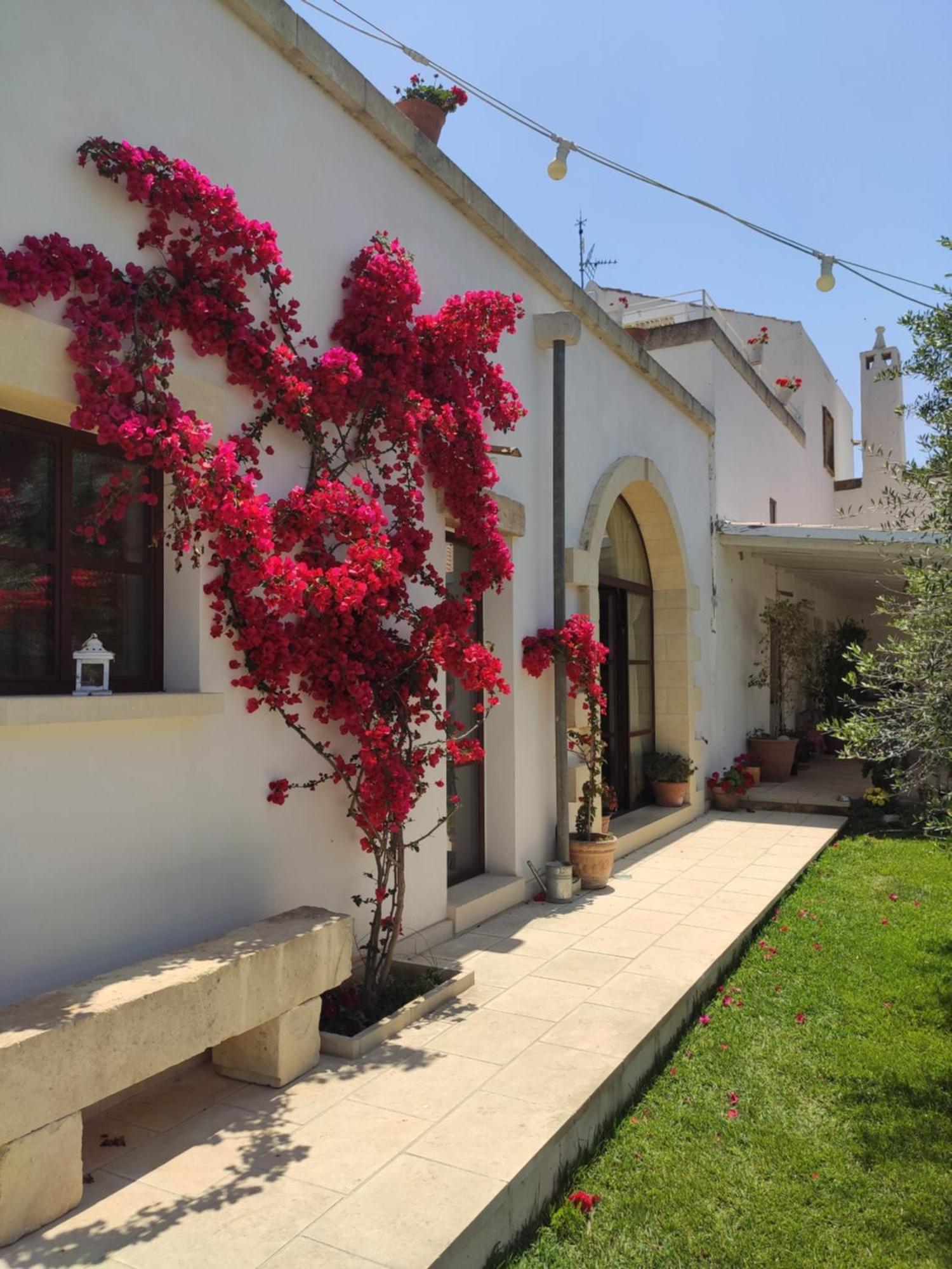 Masseria Salentina Costarella Borgagne Extérieur photo